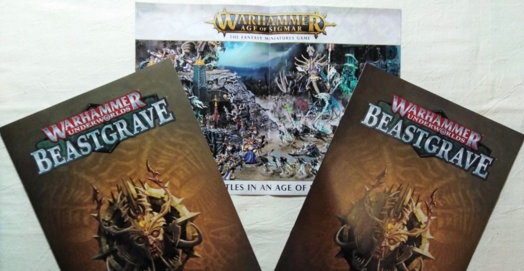 Large rule book and brochure for a fast game